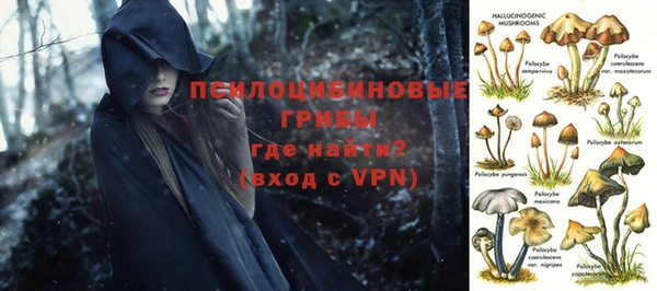 кокаин колумбия Гусев